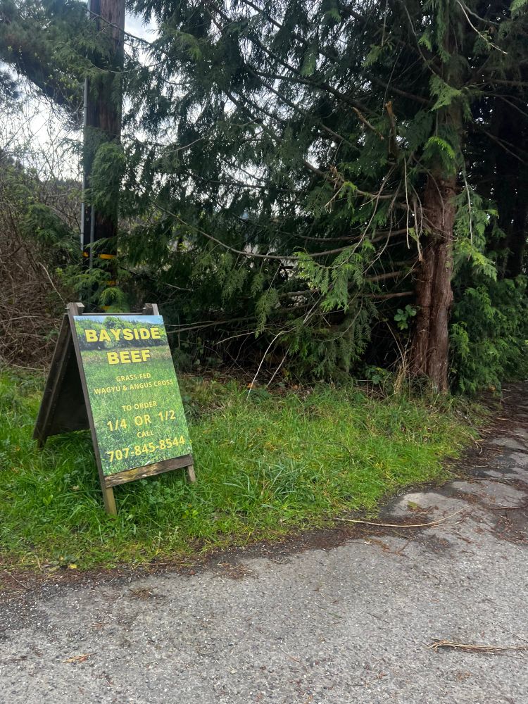 Bayside Beef Sign