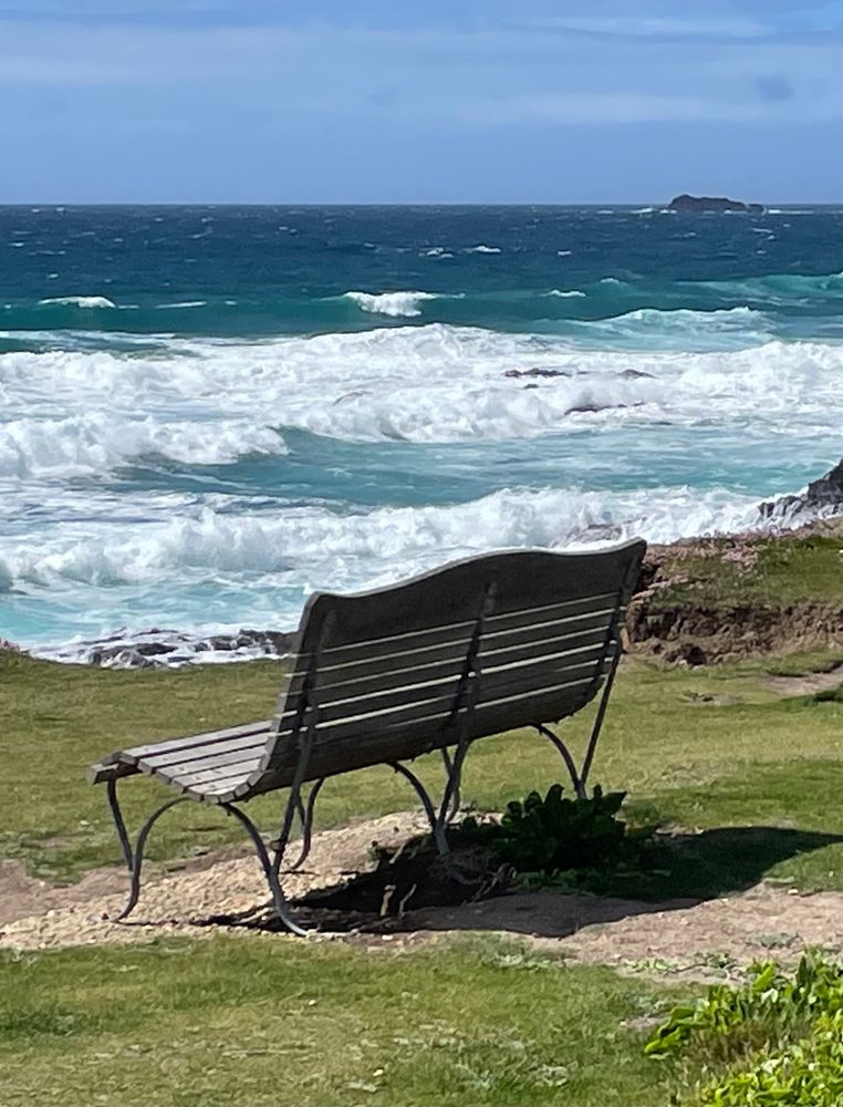 Curved wooden and metal bench in front of waves breaking on the shore. 