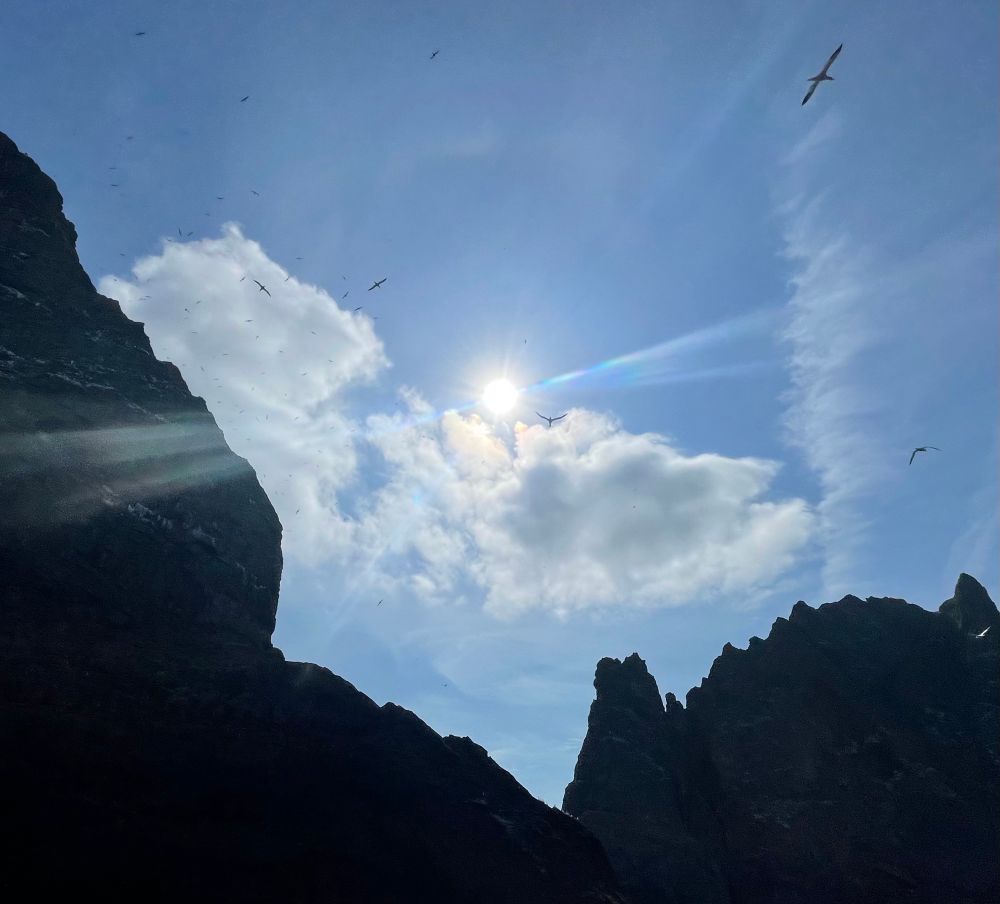 Sun and swirling seabirds above the silouetted rocks.  