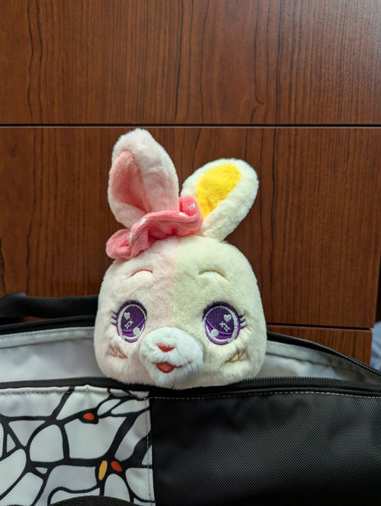 A cute stuffed bunny with a face that's half pink and half yellow pops her head out of a bag. 