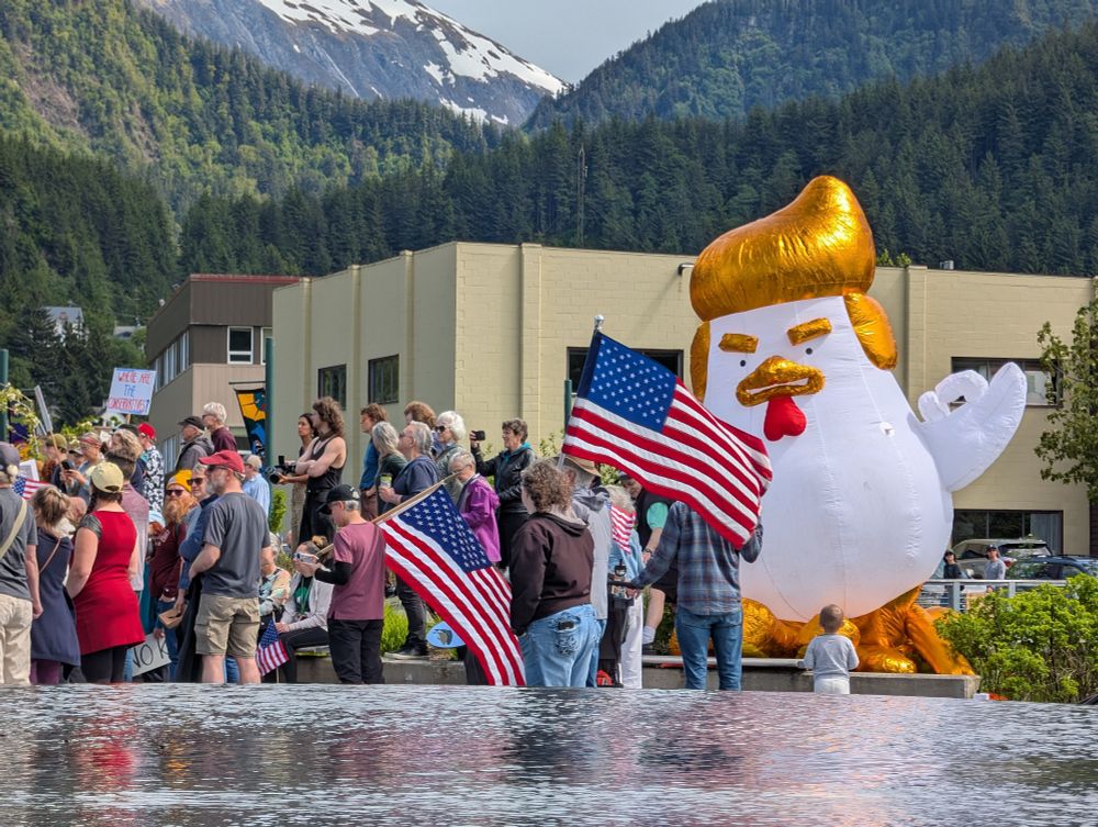 Chicken trump blow-up.