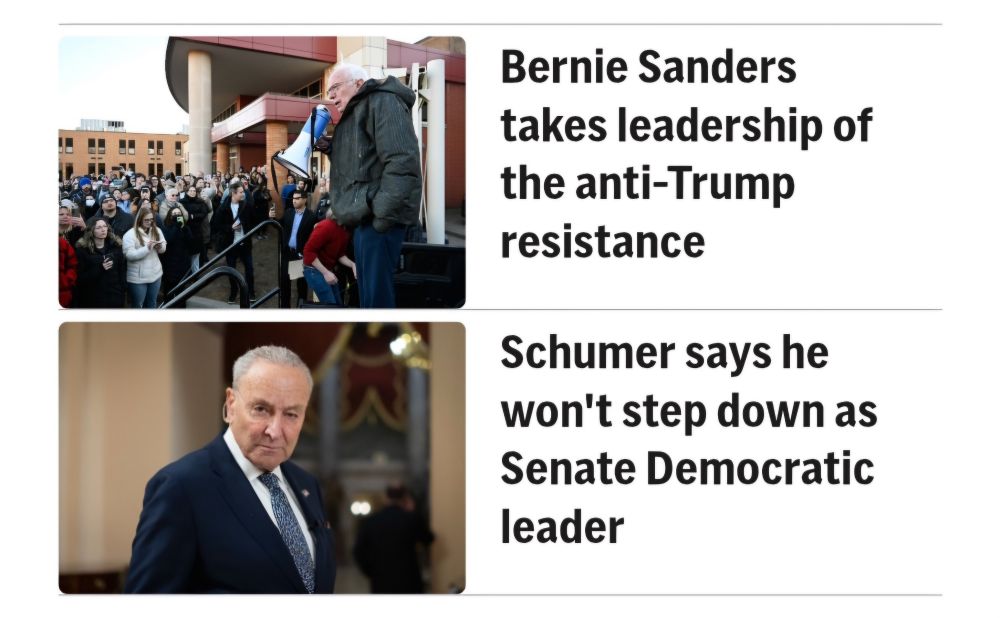Consecutive AP News article links:

First headline reads, 'Bernie Sanders takes leadership of the anti-Trump resistance'; 

Second headline reading, 'Schumer says he won't step down as Senate Democratic leader.'