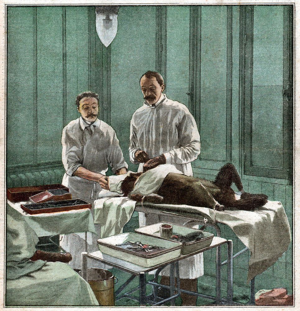Surgeon Serge Voronoff, illustration. The French surgeon Serge Voronoff works on rejuvenation. He transplants monkey testicles tissue on an old dog. Illustration in: Le Petit Journal, France, Oct, 22, 1922