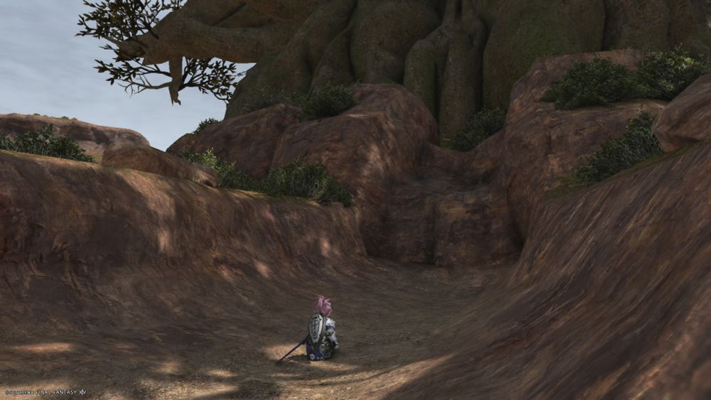 Lalami praying to the Sultantree