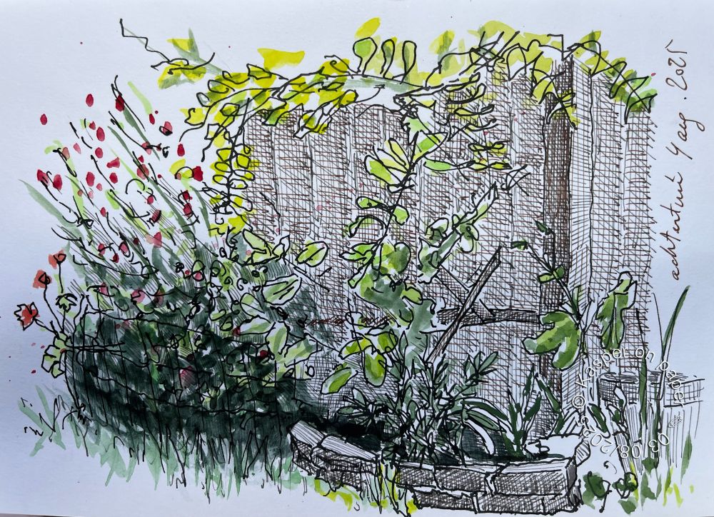 Backyard sketch, in which I focused on practicing my hatching skills. 
In the background a solid wooden fence, in front shrubbery and a very low brick wall, bordering the lawn