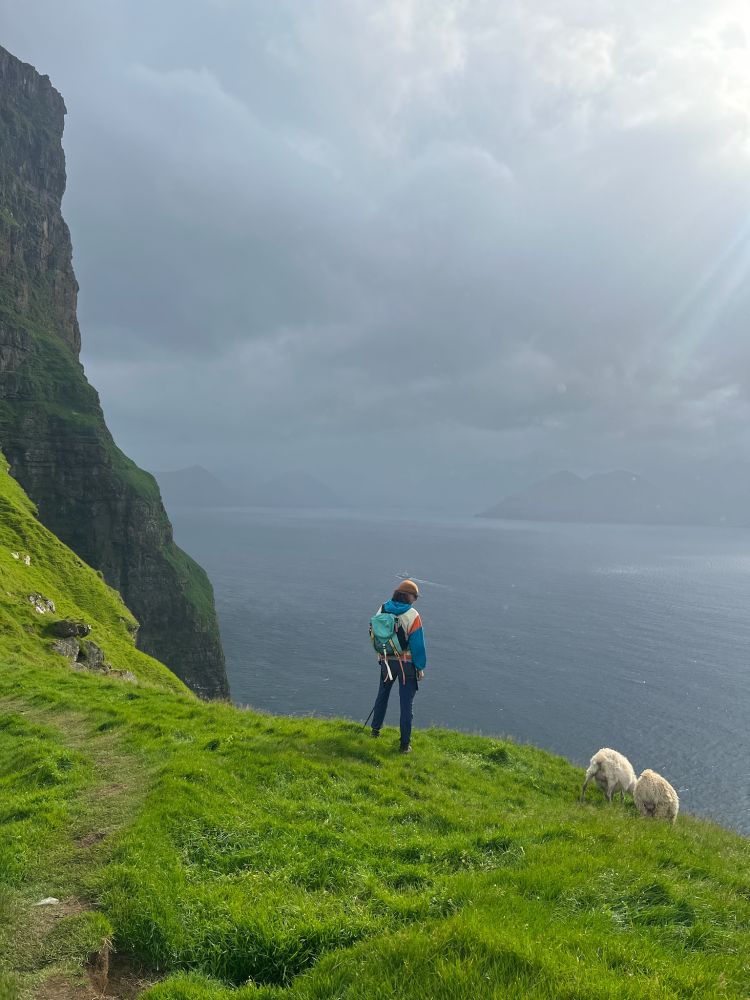 Me staring out toward the North Pole next to some sheep
