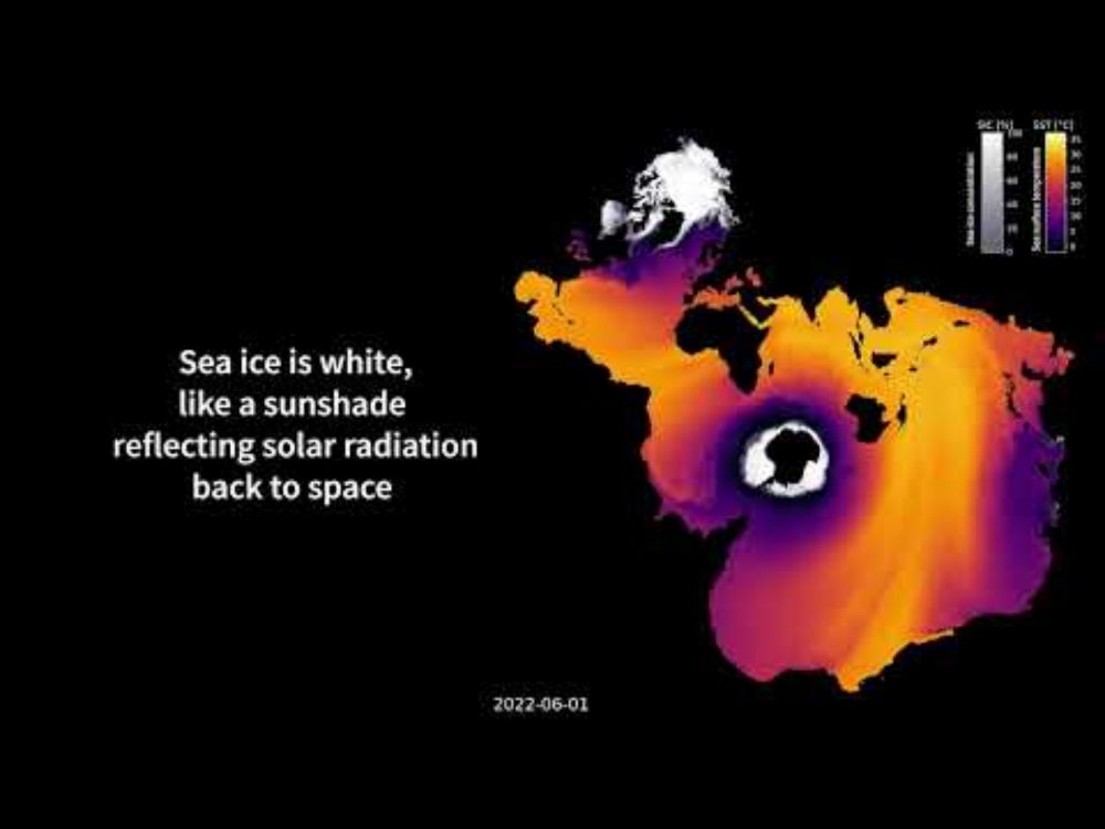 Sea ice is a global climate driver