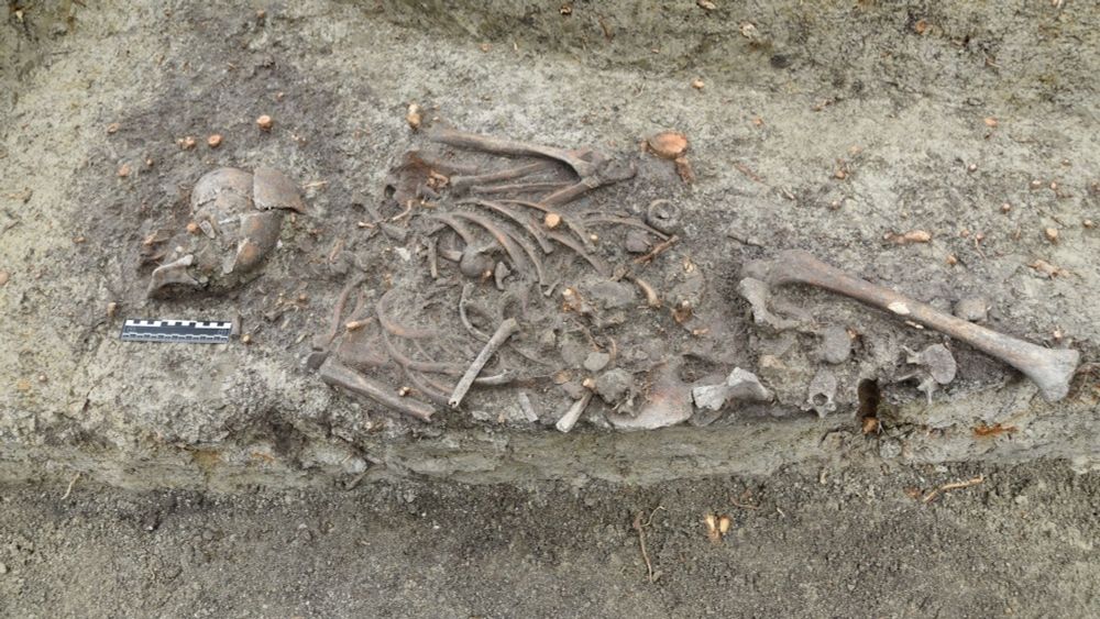 Medieval child ‘vampire burial’ exhumed near Polish cathedral