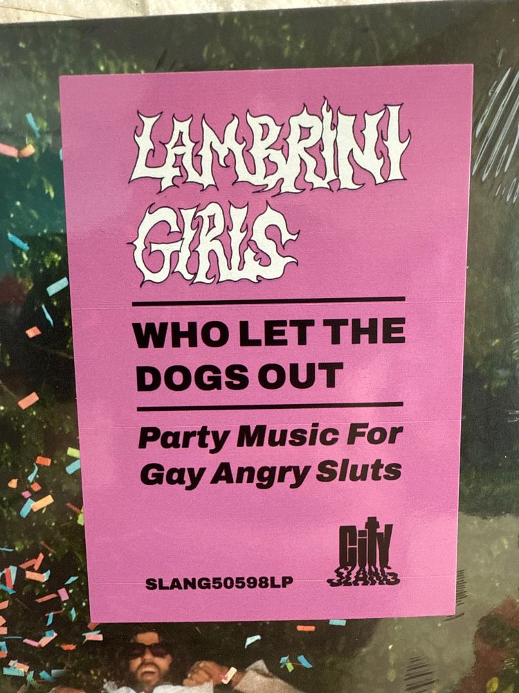 Zoomed in label on the album that says “Party Music For Gay Angry Slut” 