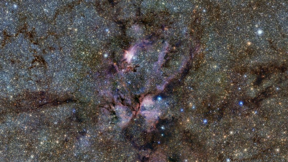 Space photo of the week: Hot young suns glow blue, white and orange in the Lobster Nebula