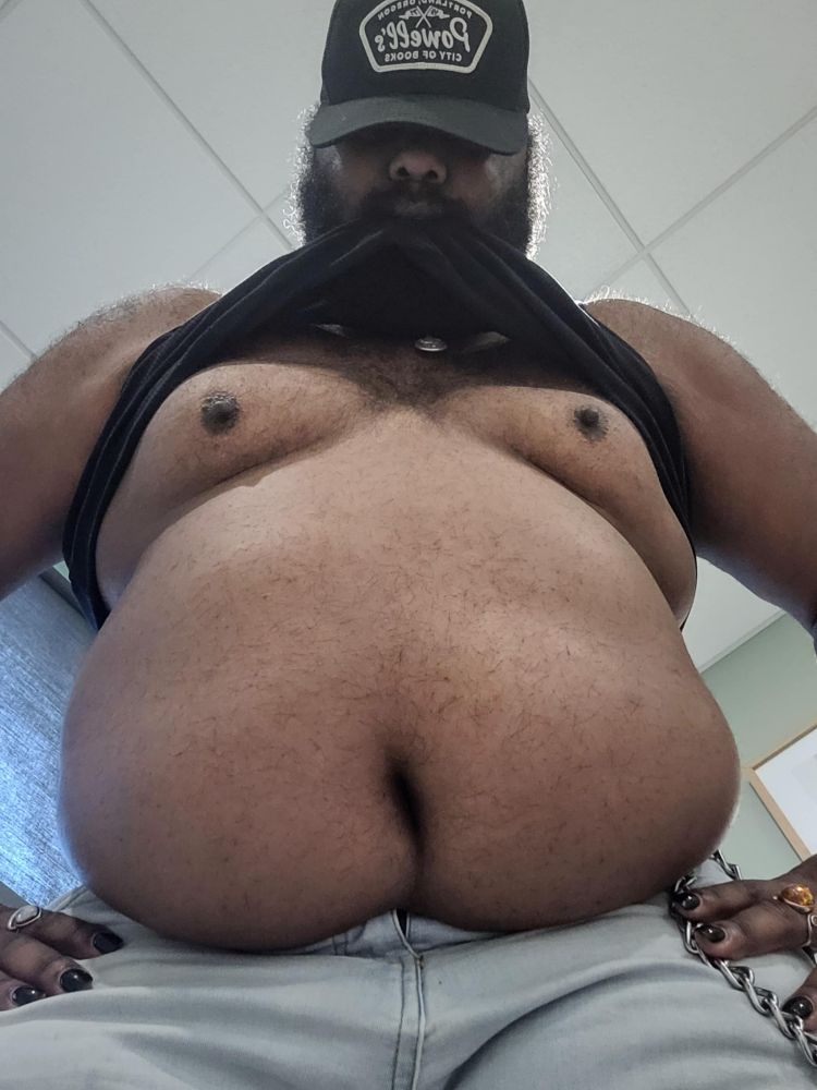 A bearded trashpanda displays his round hairy belly & huge rack 