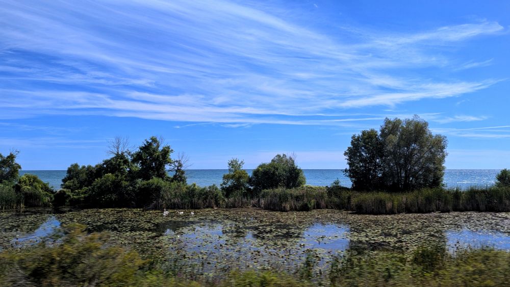 Wetland immediately inshore from Lake Ontario, south of the Kingston Subdivision between Port Hope and Coburg, Ontario 