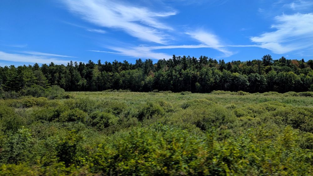 Forest and meadow South of the Kingston Subdivision outside of Waterton, Ontario 