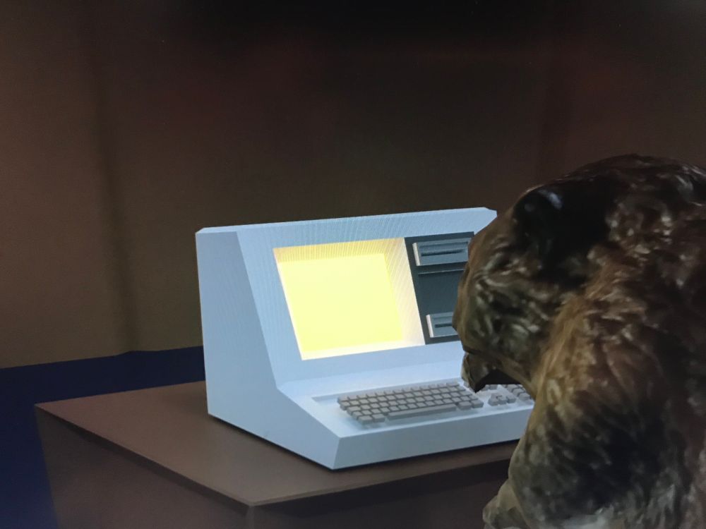 Beaver at the computer 