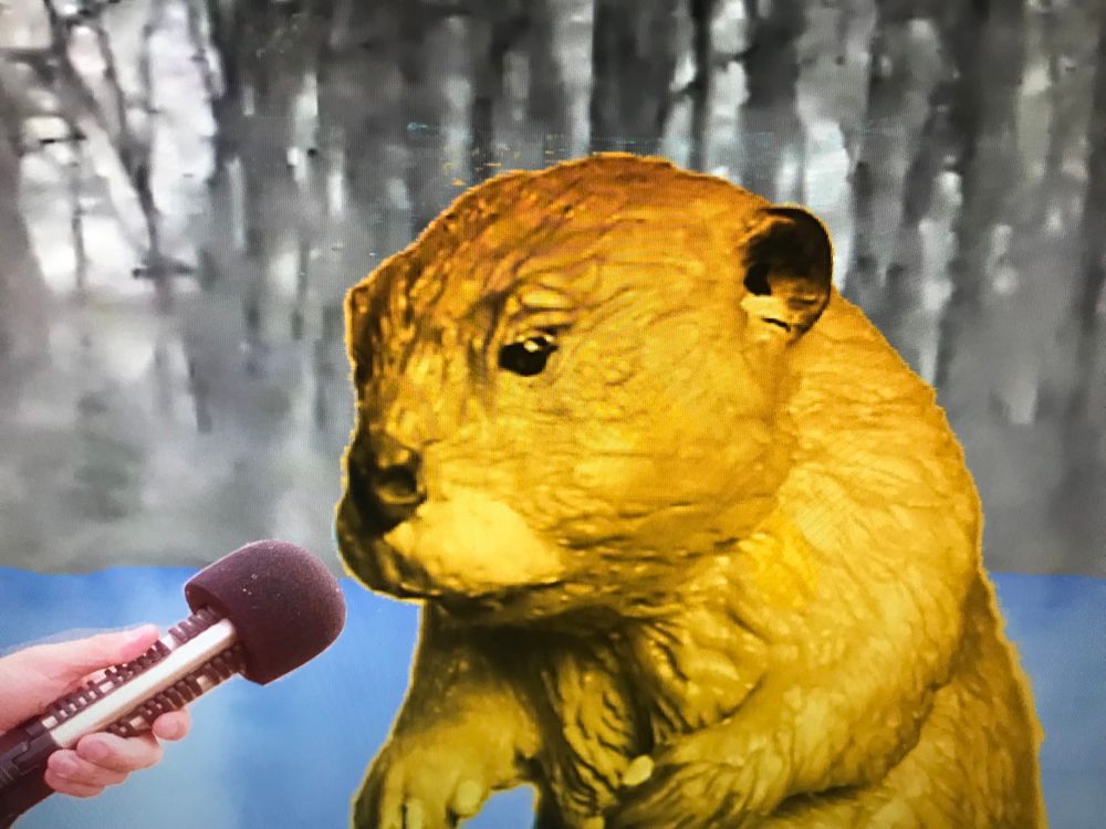 Beaver being interviewed 