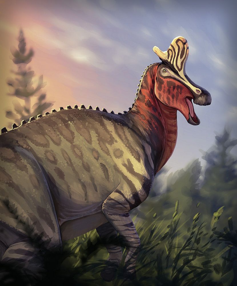 Green lambeosaurus with a red head and white and black striped crest facing right and rearing up, mouth open. It is visible down to its hindquarters, among low brush and plants, in a dusky sunset light.