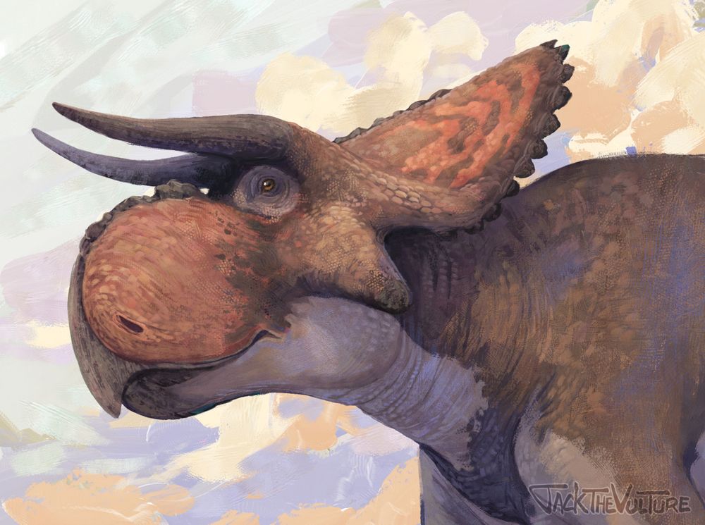Nasutoceratops portrait painted in warm colors, facing left.