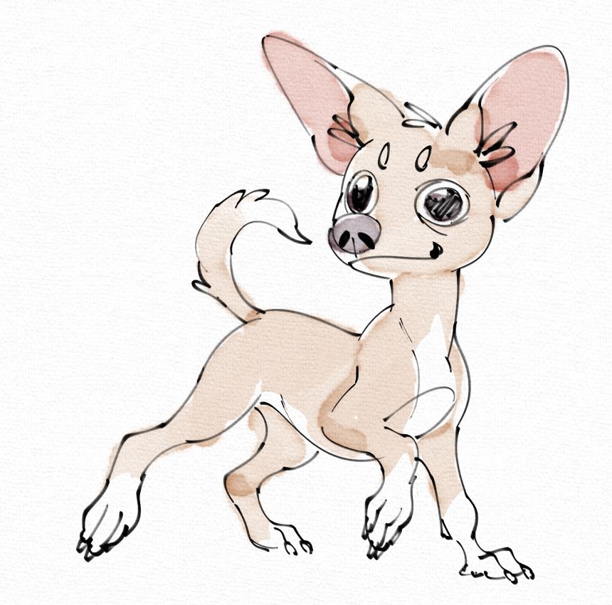 digital drawing resembling a watercolor and ink style. It is a simple stylized doodle of a tan chihuahua with a white belly and paws, with wide eyes staring into space.