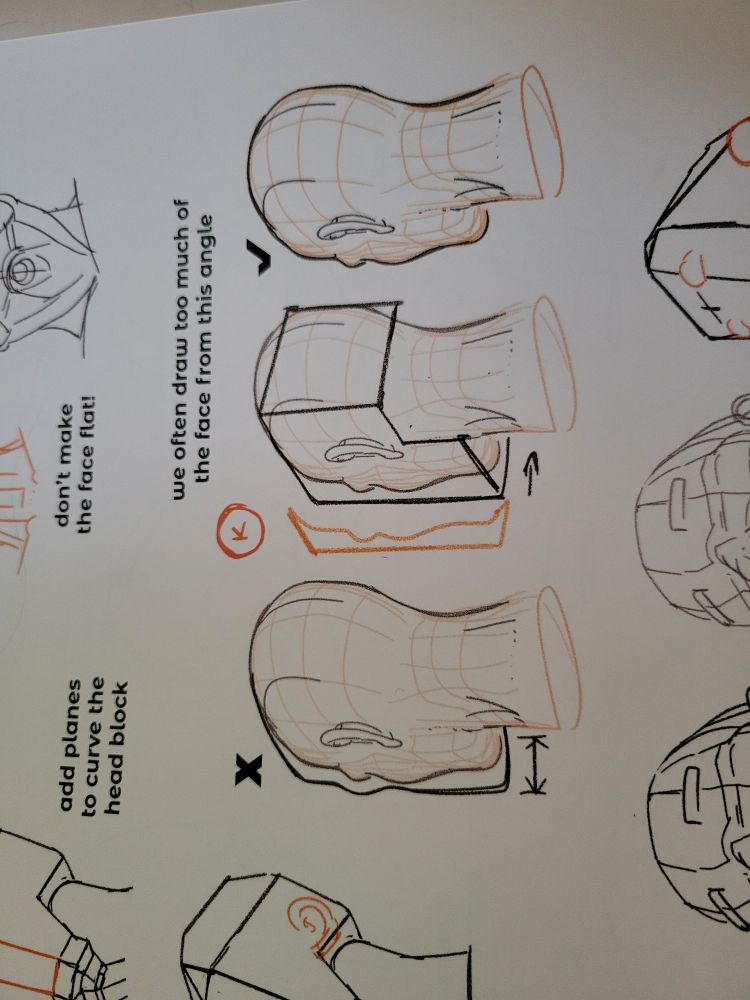 A page from Anatomy for Artists - Drawing Form and Pose page 81. Three drawings of the back of a sketched out head are shown with text reading "we often draw too much of the face from this angle"