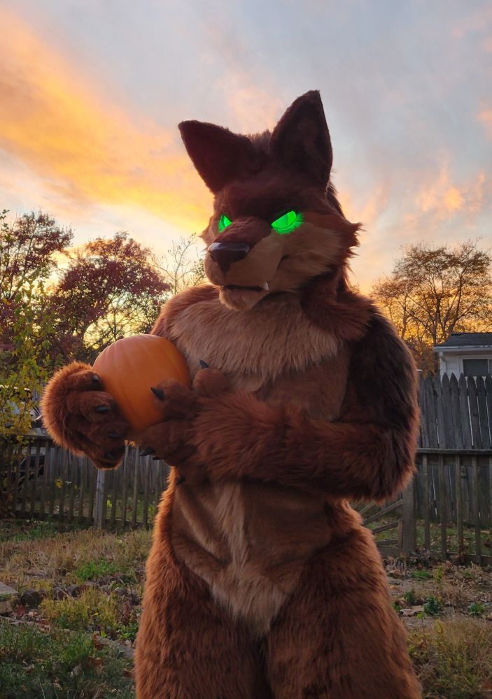 A brown werewolf fursuiter with glowing green eyes holds an orange pumpkin, cradled to his side. Behind him is a fenced grassy area and a sunset.