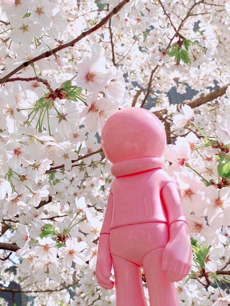 ソフビと桜の写真