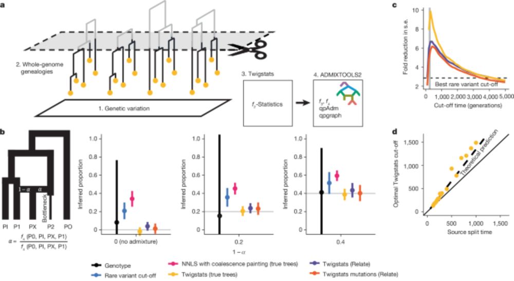 High-resolution genomic history of early medieval Europe - Nature