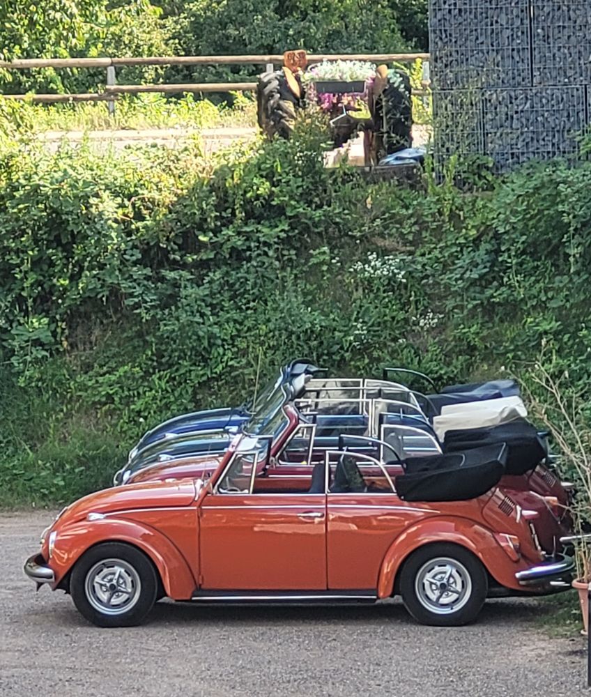 Vier nebeneinander geparkte offene VW Käfer-Cabriolets, im Hintergrund noch ein alter Traktor.