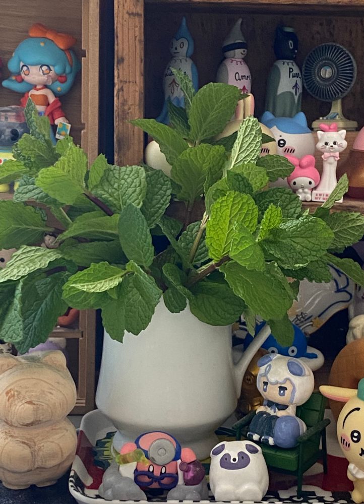 汚い机の上に誤魔化しで飾ったミントに自作推しフィギュアを添えた写真