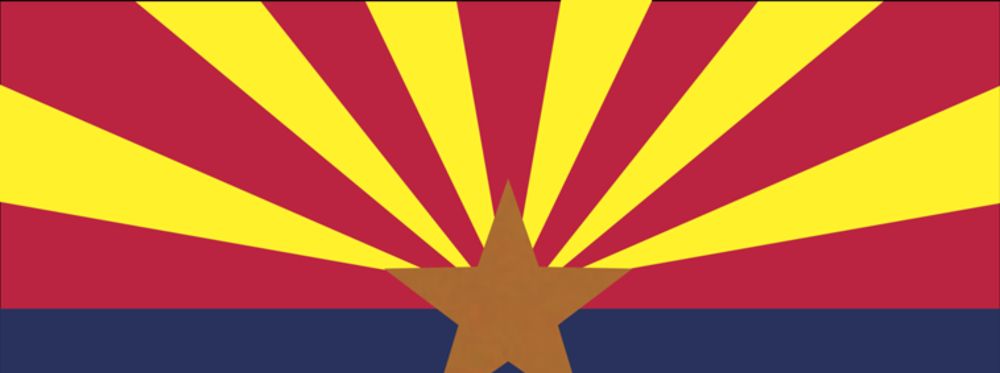 Flipping Arizona | The States Project