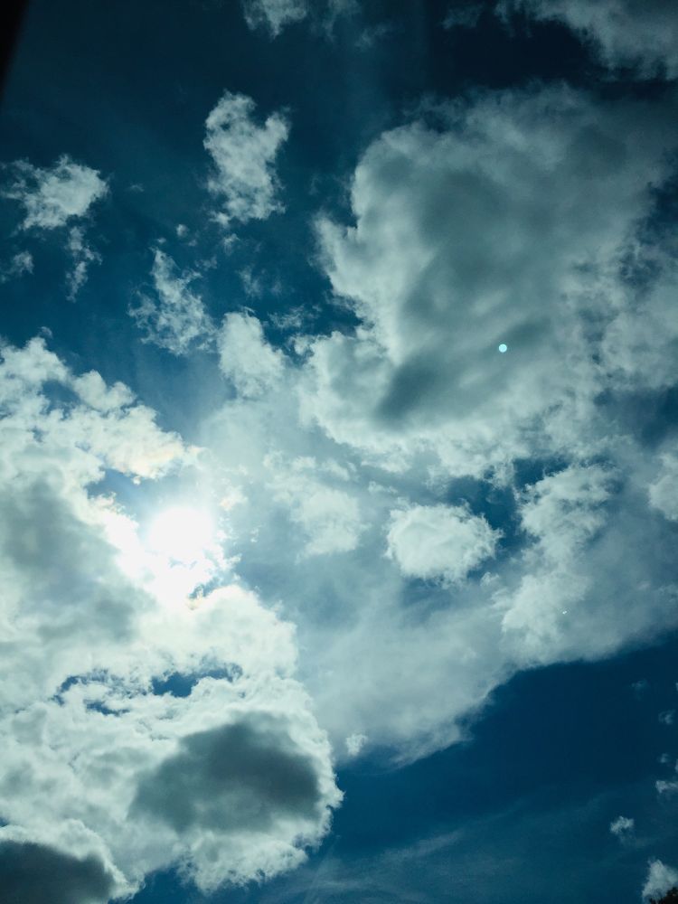 Post image (had no alt text on Bluesky)