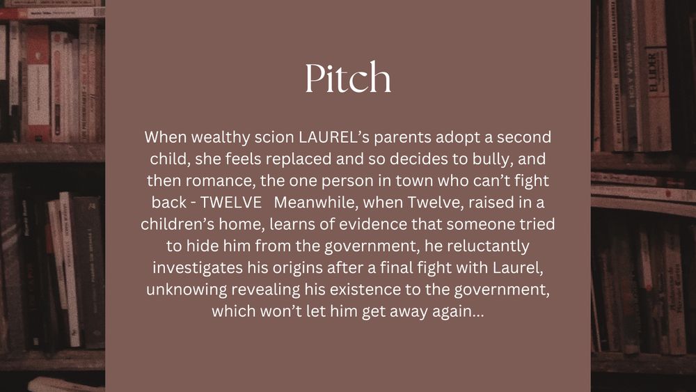 Pitch: When wealthy scion Laurel's parent's adopt a second child, she feels replaced and so decides to bully, and then romance, the one person in town who can't fight back - Twelve.  Meanwhile, when Twelve, raised in a children's home, learns of evidence that someone tried to hide him from the government, he reluctantly investigates his origins after a final fight with Laurel, unknowingly revealing his existence to the government, which won't let him get away again...