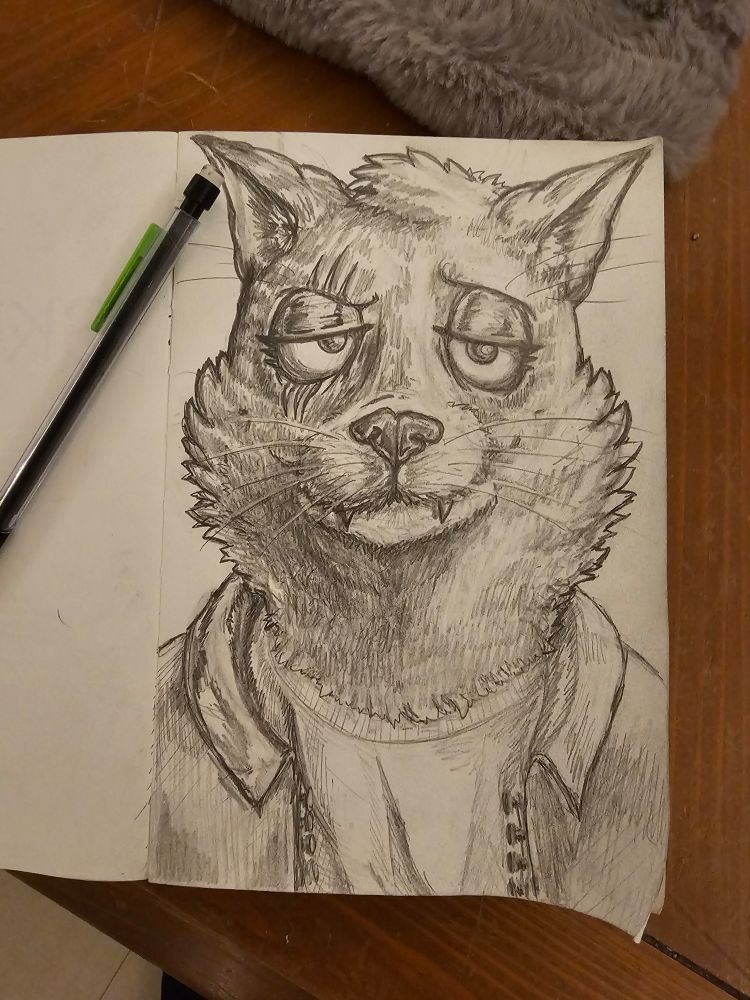 A pencil sketch of a gruff looking anthropomorphic cat. The picture is in a sketchbook that is placed on my friend's coffee table.