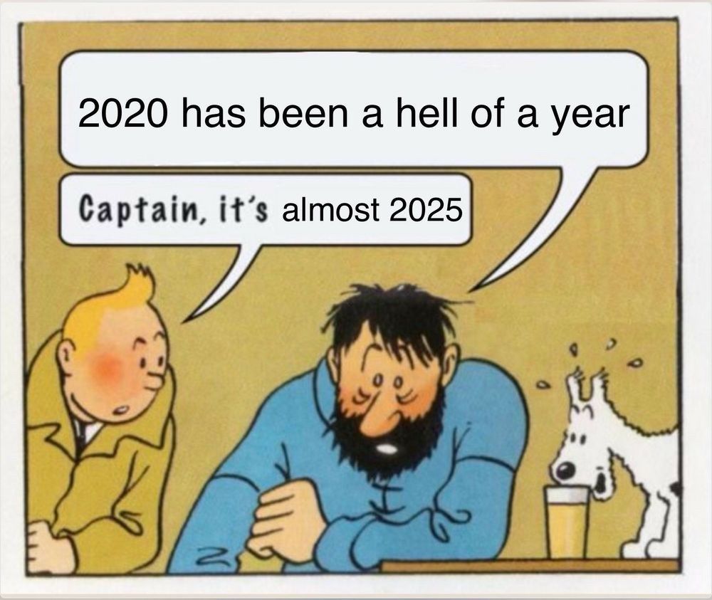 Captain Haddock saying "2020 has been a hell of a year" while Tintin reminds him that it's nearly 2025. Meanwhile, Snowy enjoys a beer.