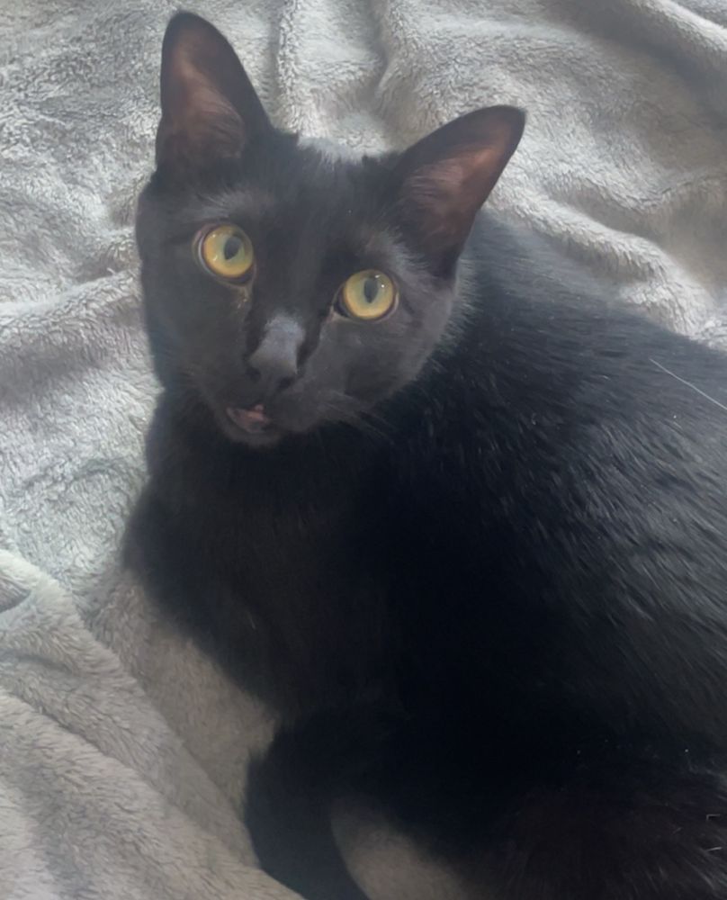 same position but then he lookin away