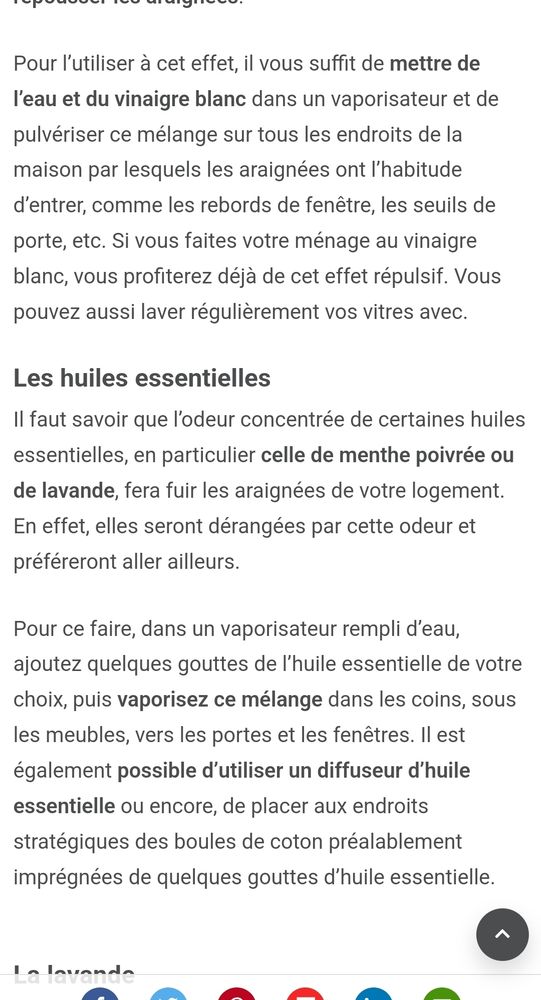 Astuces vinaigre blanc dilué dans de l'eau répulsif contre les araignées 
Ou quelques gouttes d'huile essentielle de menthe poivrée ou de lavande dans un vaporisateur rempli d'eau