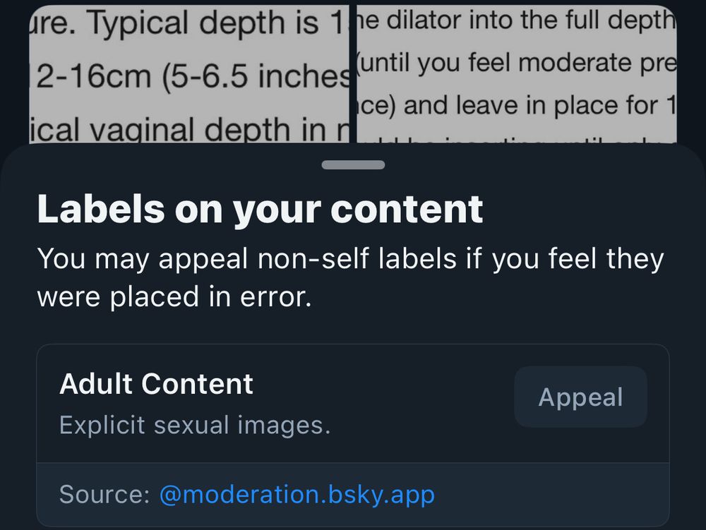 bsky moderation deciding my dilating related crashout was explicit sexual content