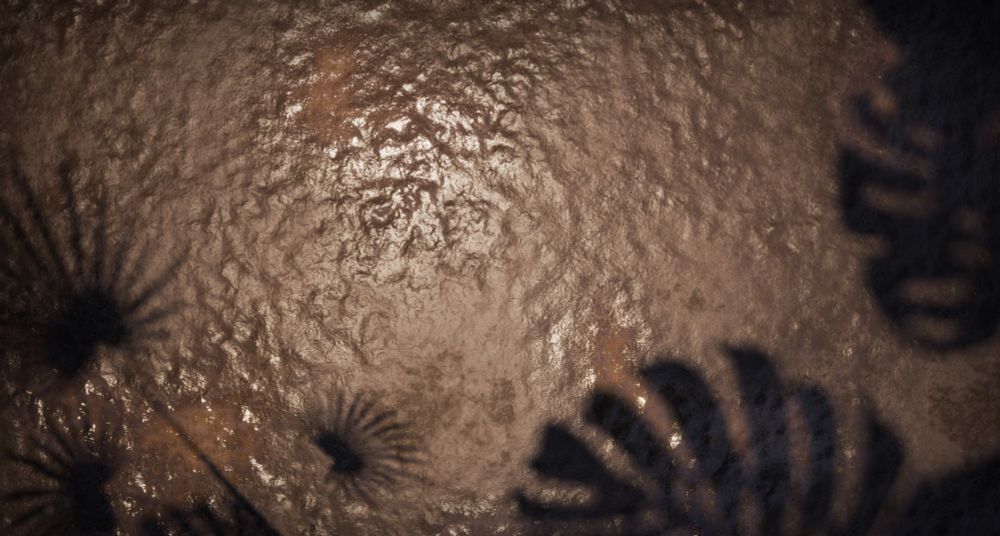 A close-up of the mud material that I made for the jungle scene. The mud is brown, with a bright sun reflecting the slightly wet surface. Hard shadows from the jungle plants are stood around the outer edges.