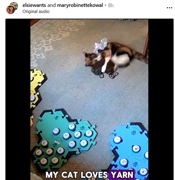 Cat playing with a ball of yarn.