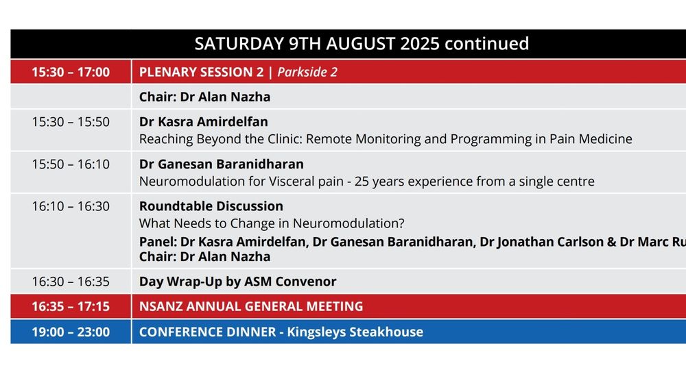 Screenshot of Plenary 2 program. All men, even the chair.