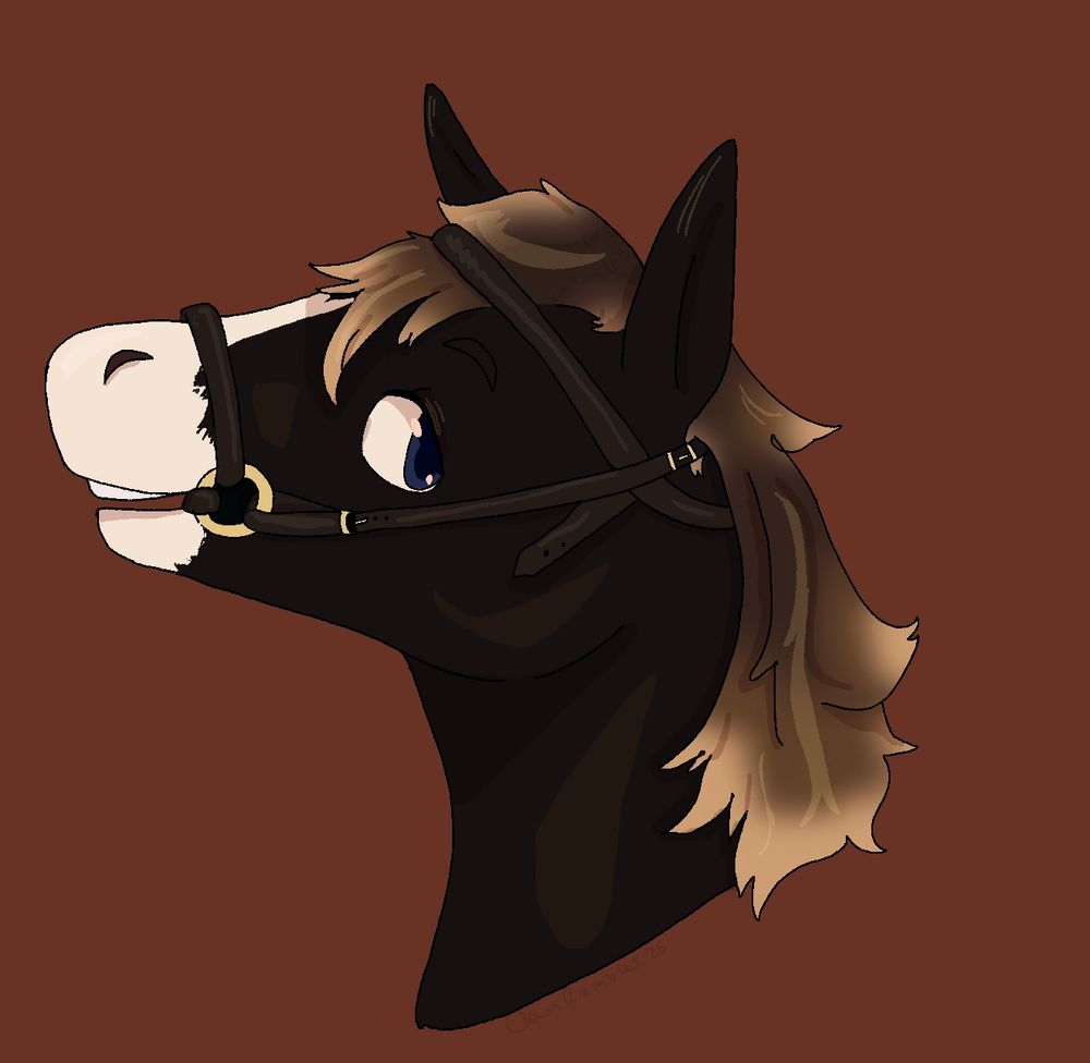 Headshot of a Dark brown horse with white blaze and nose and a blonde and tan mane