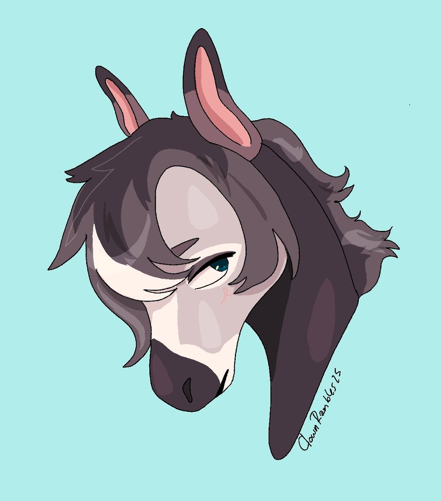 Grey horse furry headshot looking down and to the left
