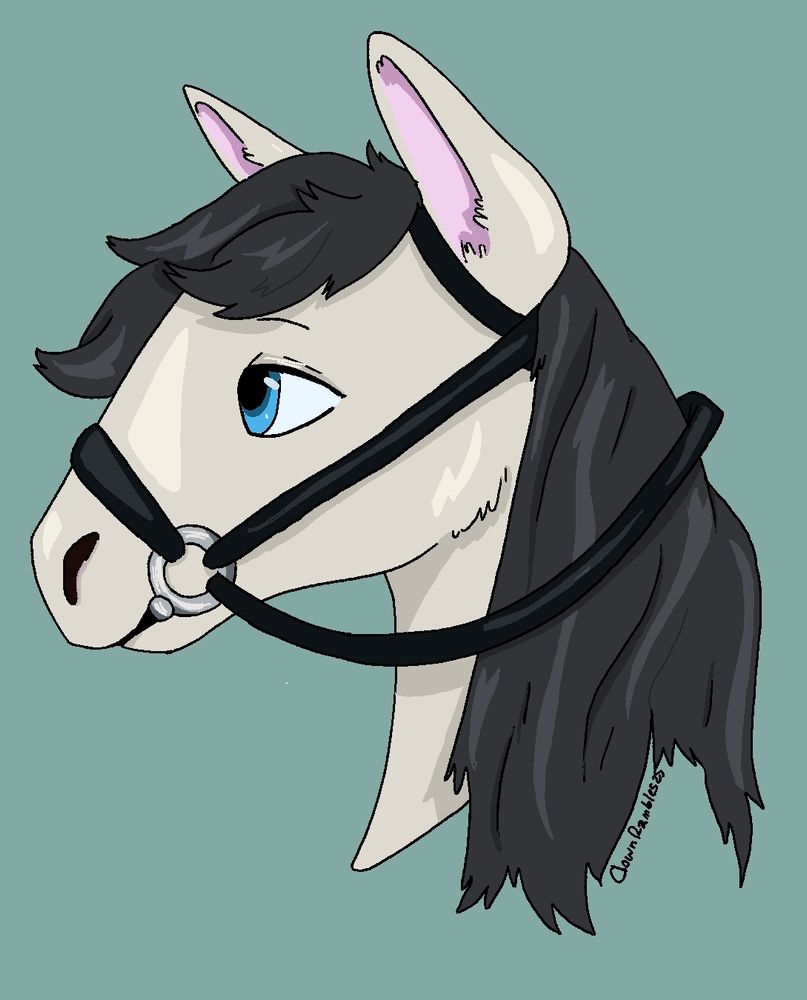 Gentle looking white and black horse with a bit and bridle