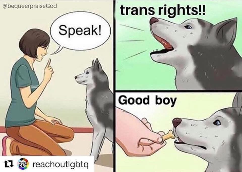 A meme in three panels: first, a woman asks a husky dog to speak; second, the dog says "trans rights"; third, the dog is rewarded with a treat and called a good boy.