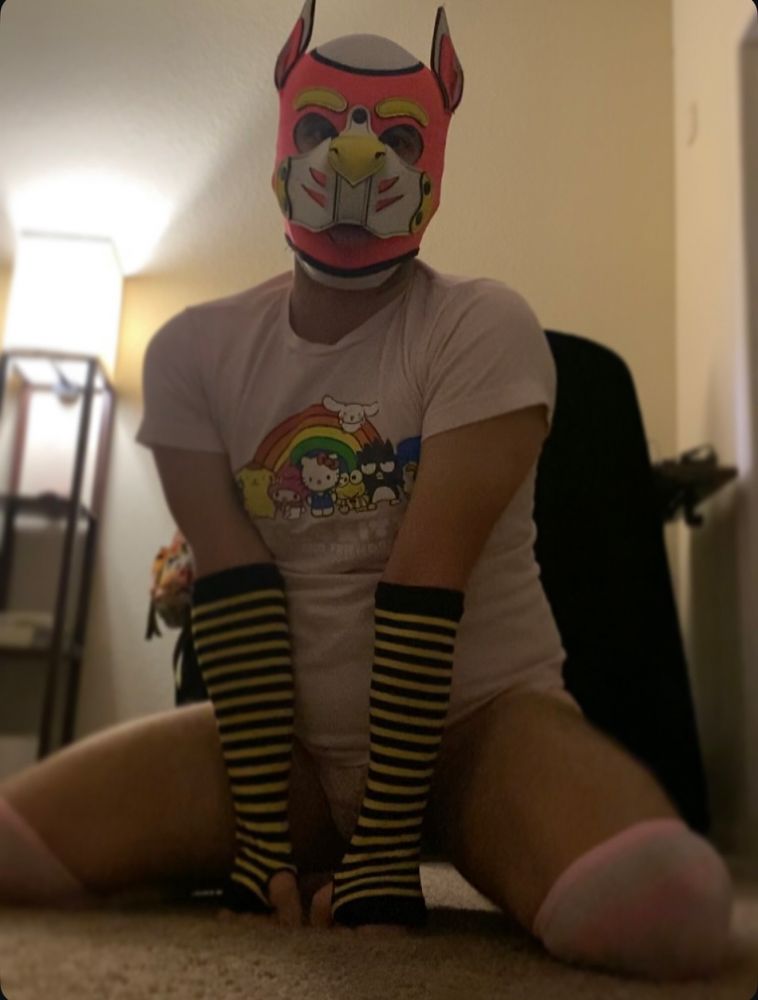 Pink puppy with their tongue out and all fours wearing pink Sanrio shirt, knee high pink socks and yellow/black arm warmers