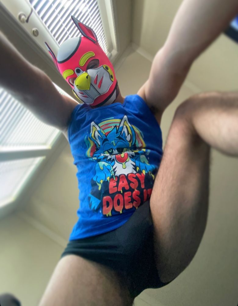 Bottom up view of pink and yellow puppy looking down to camera mid stretch- they are wearing short black undies and a blue tank with a blue, hypnotized wolf labeled “Easy Does It”
