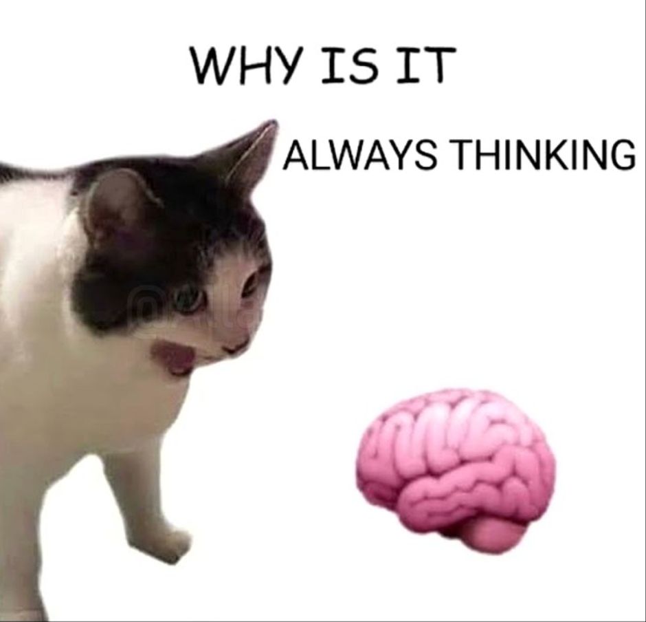 a cat meowing at an enlarged brain emoji. text: why is it always THINKING