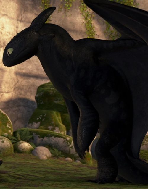 A screenshot of Toothless from How to Train Your Dragon. He is standing on his hind legs, partially hunched over