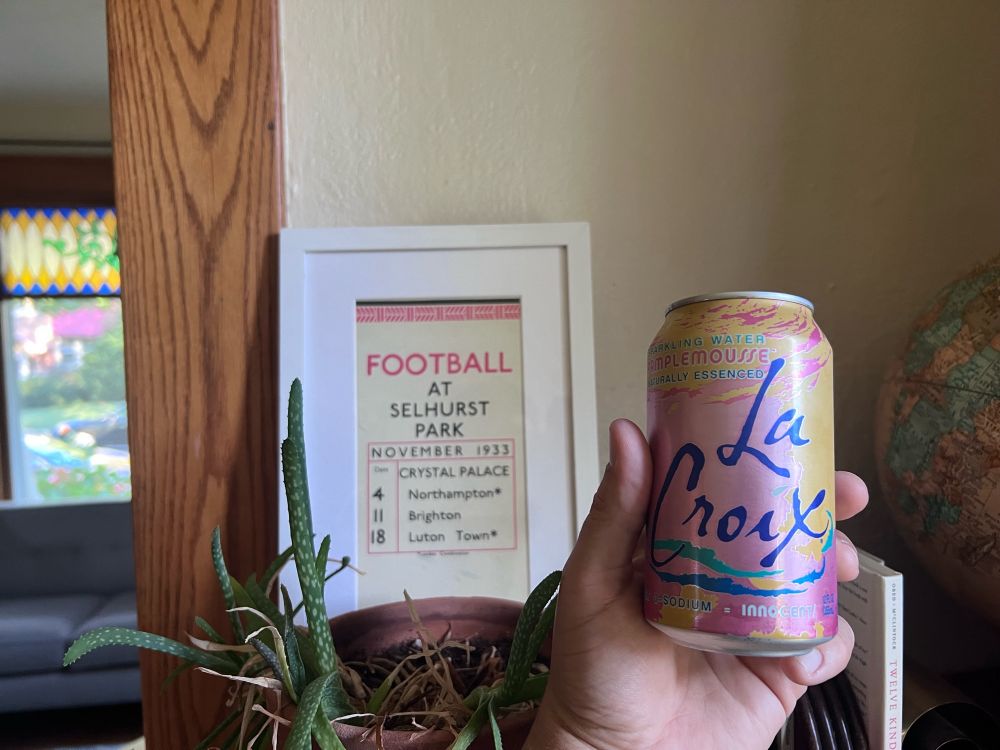 Hand holding can of Lacroix sparkling water