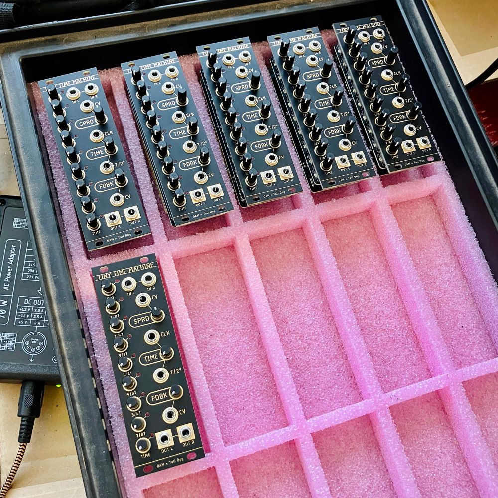 Six 8 HP eurorack modules in a pink foam tray with cutouts that perfectly contain the module. The module is label TINY TIME MACHINE and primarily consists of nine vertically arranged little black knobs/trimmers