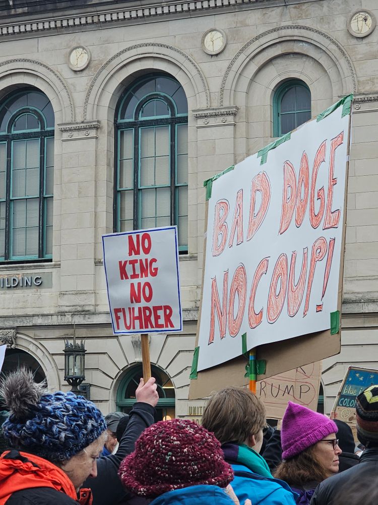 No doge protest sign